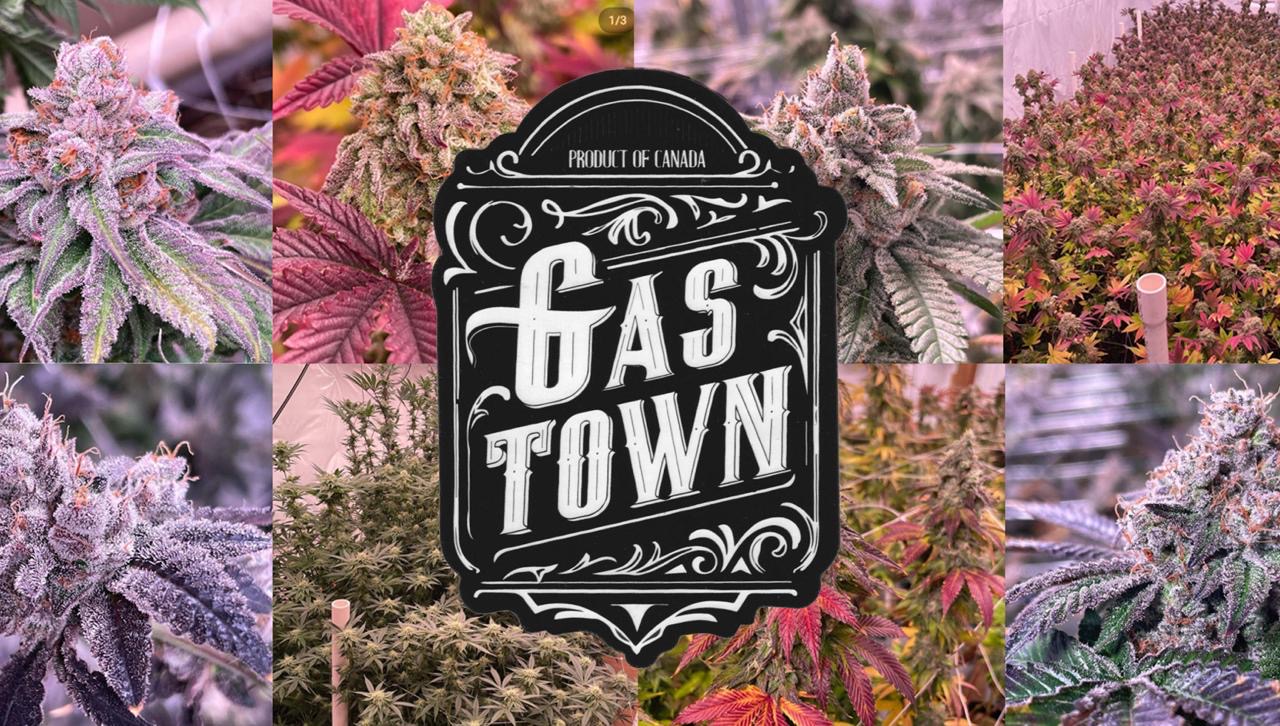 Gastown Genetics