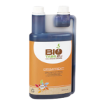 Design ohne Titel orgatrex.png